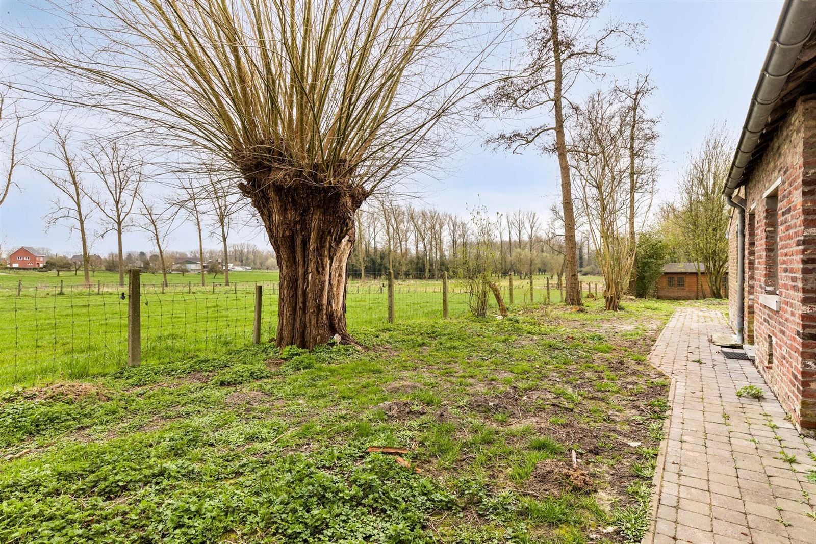 FOTO’S 21 : Woning te 1570 PAJOTTEGEM (België) - Prijs In optie