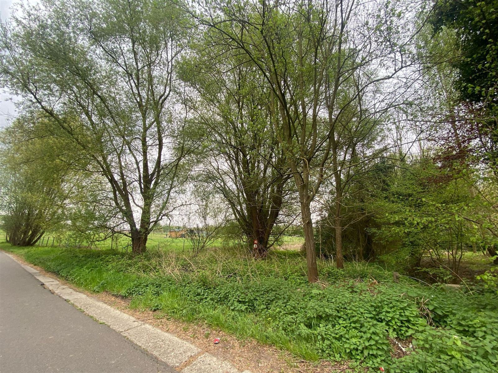 FOTO’S 4 : Grond te 1730 ASSE (België) - Prijs € 65.000