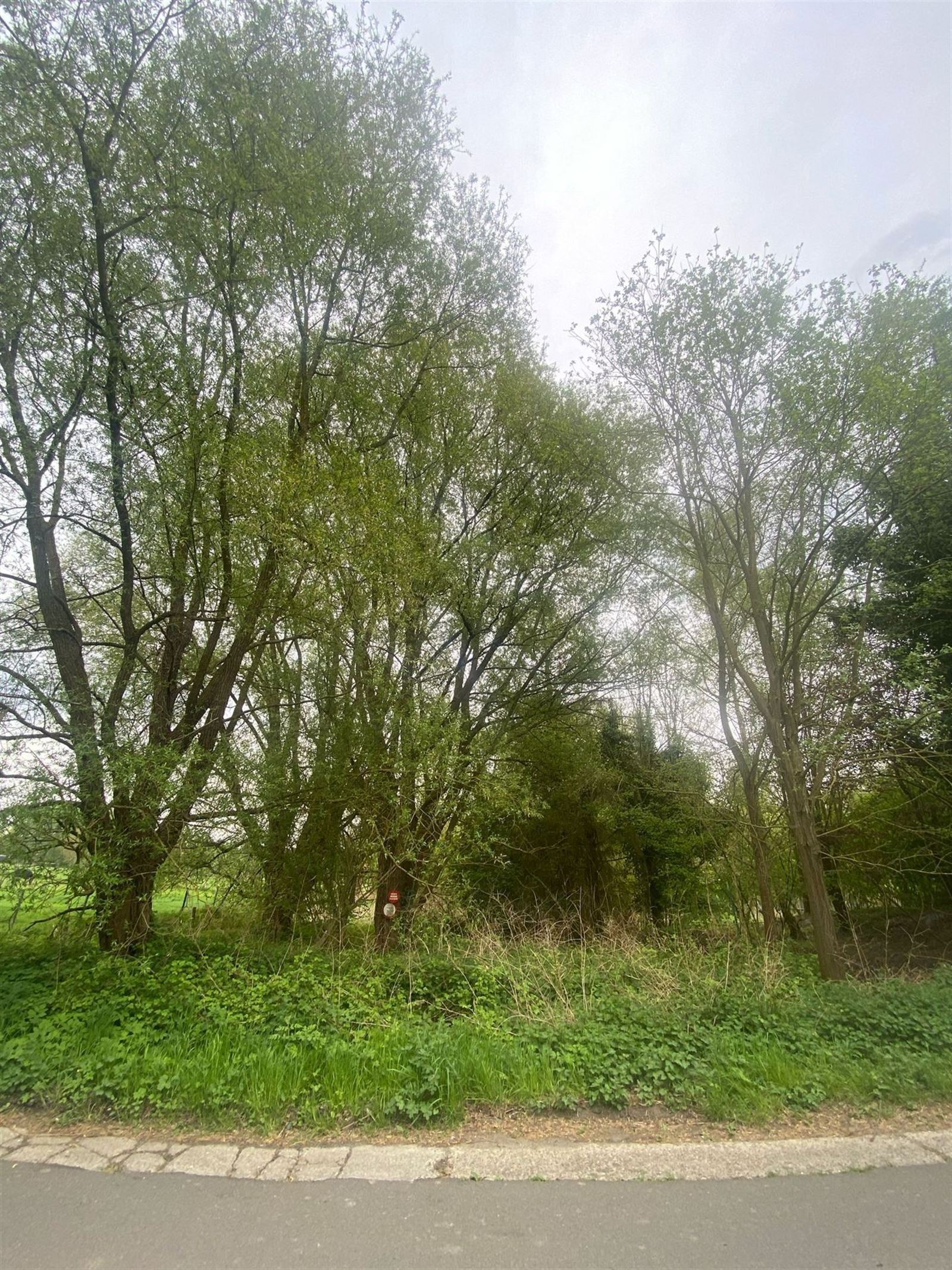 FOTO’S 3 : Grond te 1730 ASSE (België) - Prijs € 65.000