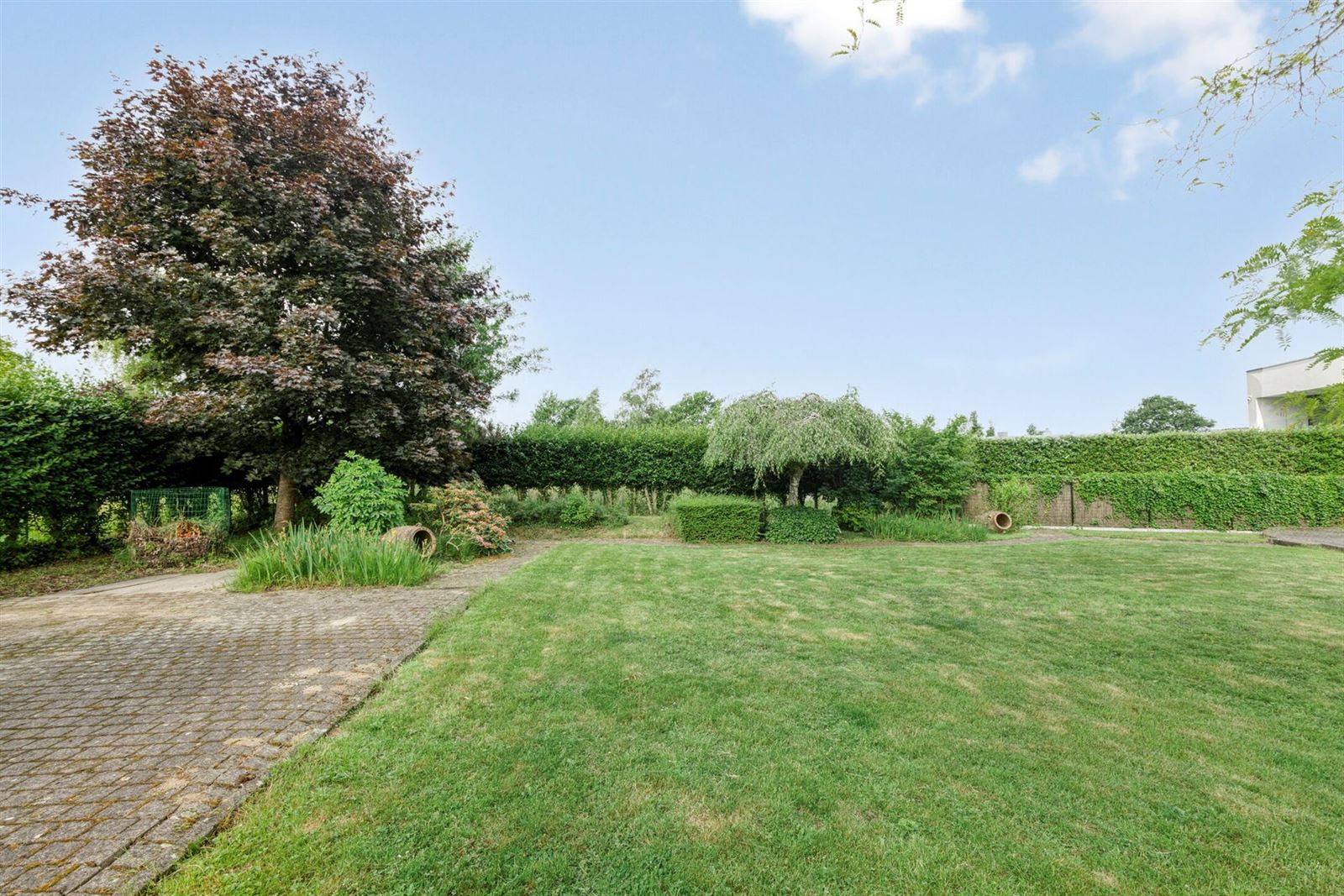 FOTO’S 33 : Woning te 1790 HEKELGEM (België) - Prijs € 2.250