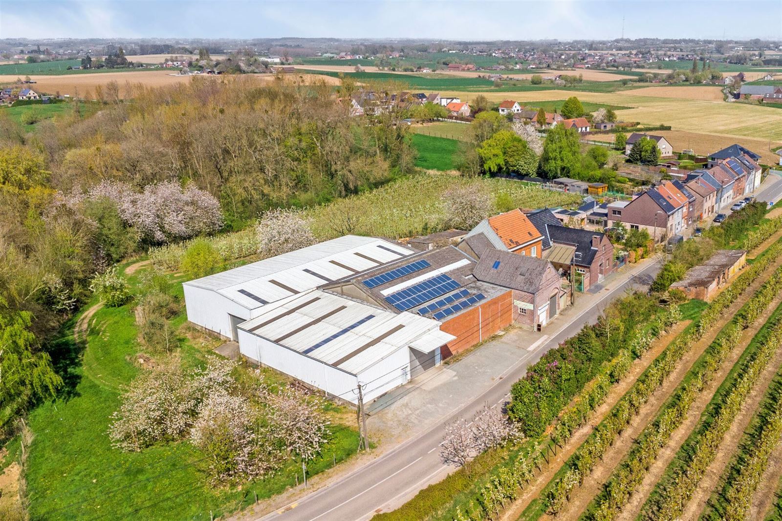 FOTO’S 4 : Gemengd gebouw te 1674 BELLINGEN (België) - Prijs € 799.000