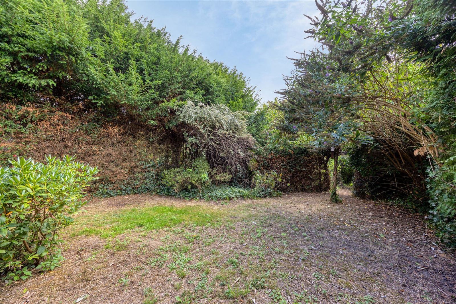 PHOTOS 33 : Maison à 1500 HALLE (Belgique) - Prix 349.000 €