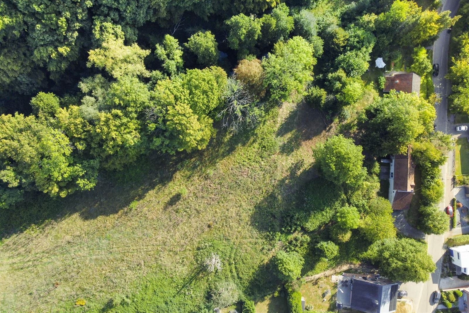 FOTO’S 6 : Grond te 1650 BEERSEL (België) - Prijs € 290.000