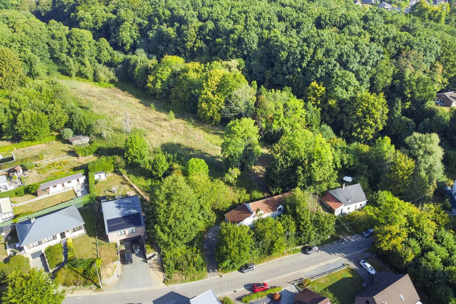 FOTO’S 4 : Grond te 1650 BEERSEL (België) - Prijs € 290.000
