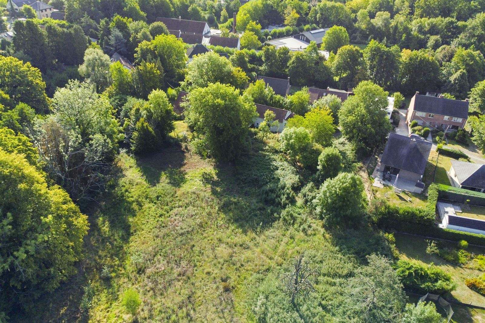FOTO’S 5 : Grond te 1650 BEERSEL (België) - Prijs € 290.000