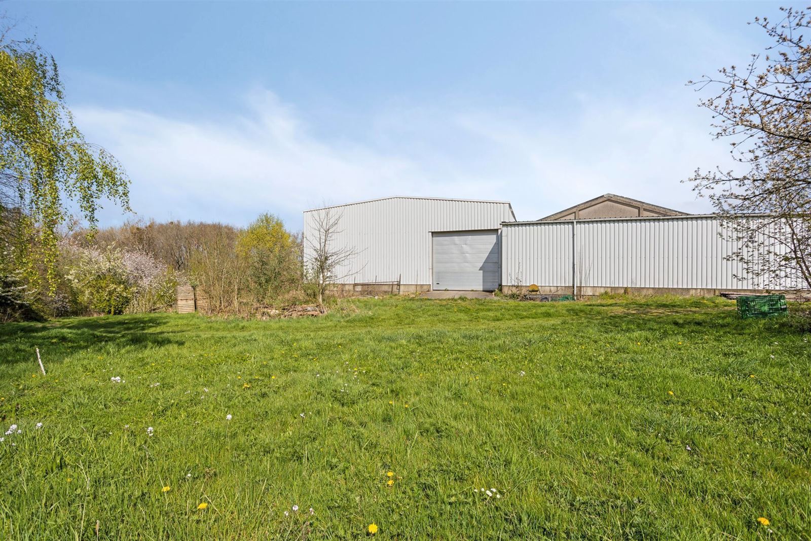 FOTO’S 11 : Bedrijfsgebouw te 1670 PEPINGEN (België) - Prijs € 559.000