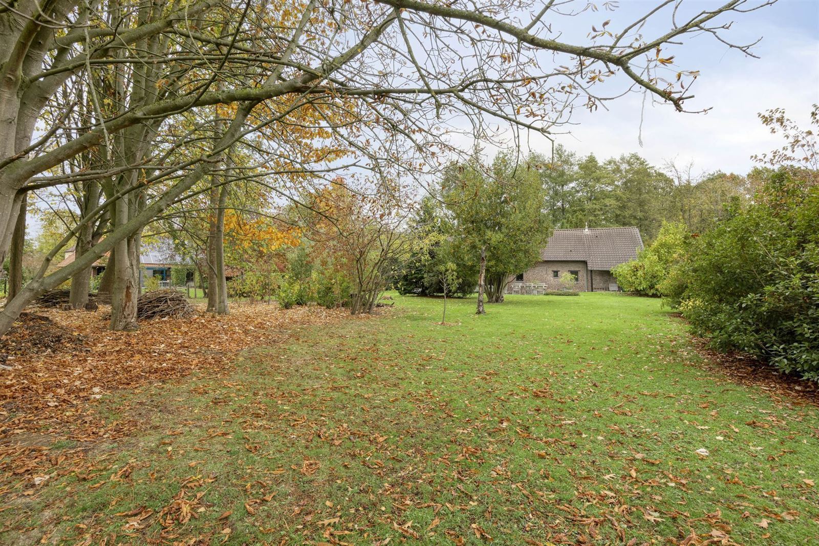 FOTO’S 29 : Woning te 1650 BEERSEL (België) - Prijs € 645.000