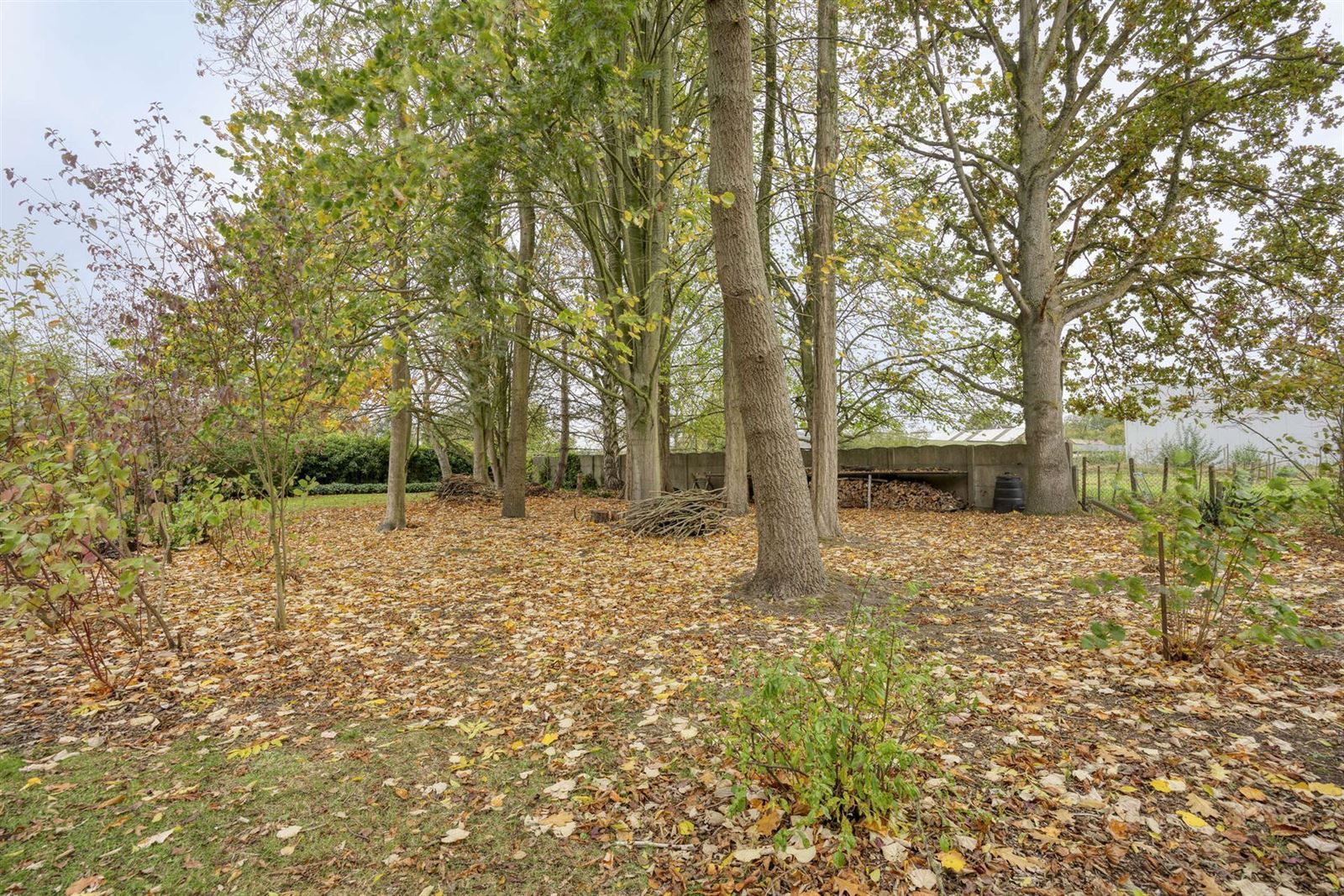 FOTO’S 26 : Woning te 1650 BEERSEL (België) - Prijs € 645.000