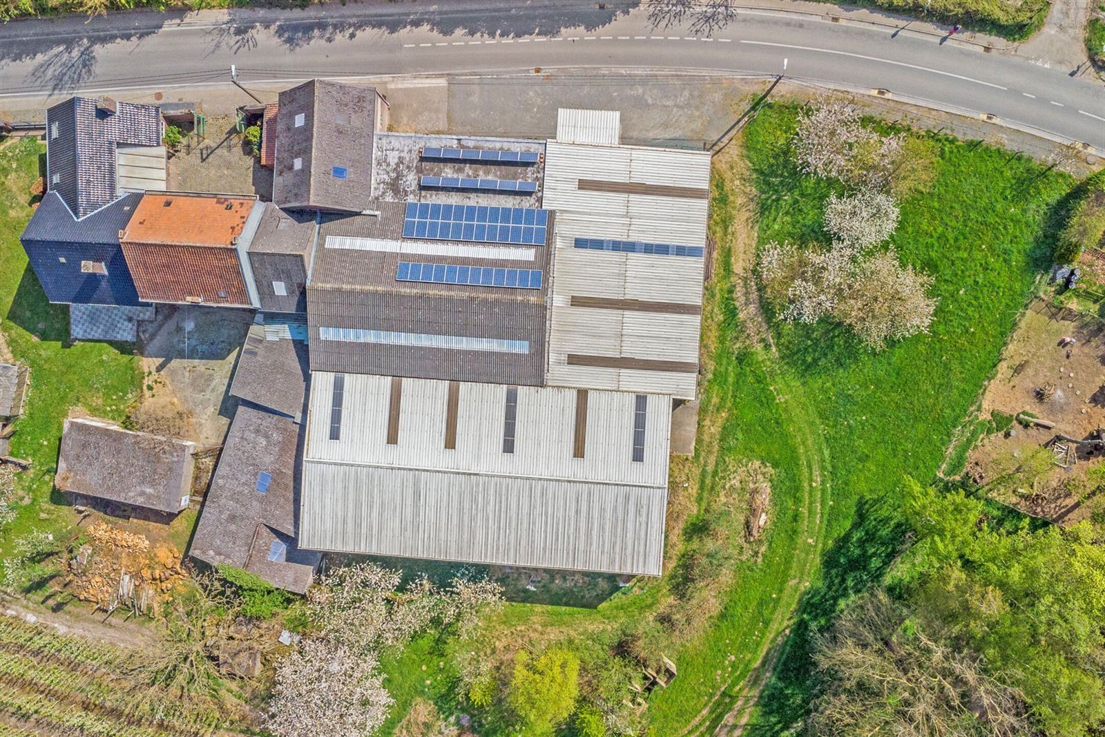 FOTO’S 4 : Bedrijfsgebouw te 1670 PEPINGEN (België) - Prijs € 559.000