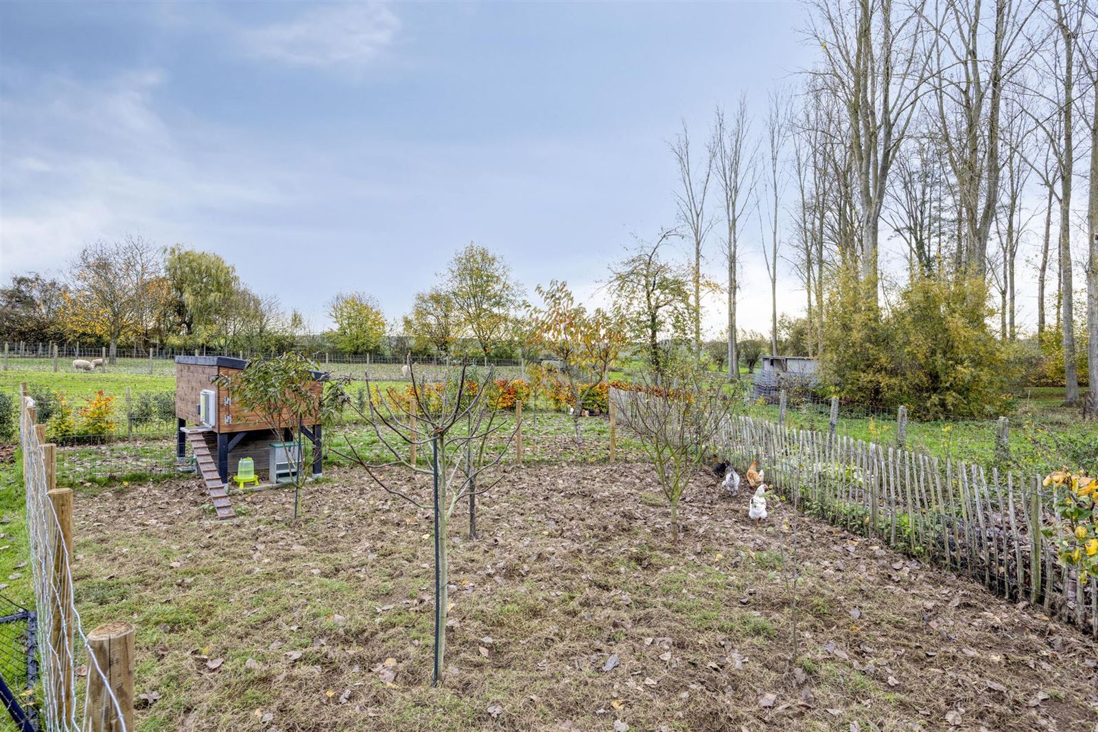 FOTO’S 31 : Woning te 1755 KESTER (België) - Prijs € 549.000