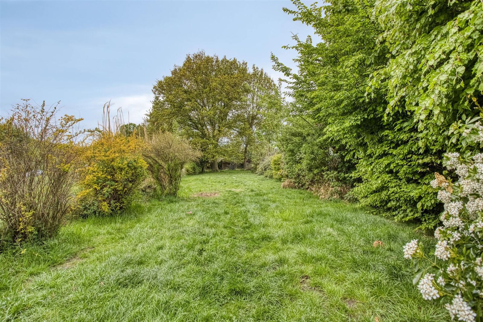 FOTO’S 17 : Woning te 1653 DWORP (België) - Prijs € 308.000