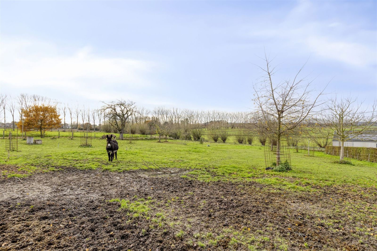 FOTO’S 36 : Herenhuis te 1755 PAJOTTEGEM (België) - Prijs € 1.249.000