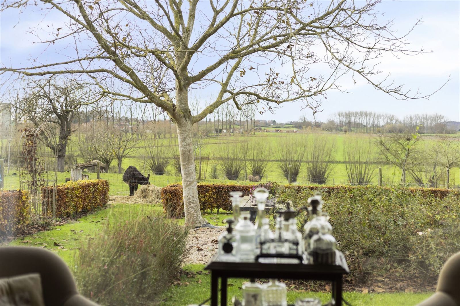 FOTO’S 11 : Herenhuis te 1755 PAJOTTEGEM (België) - Prijs € 1.249.000