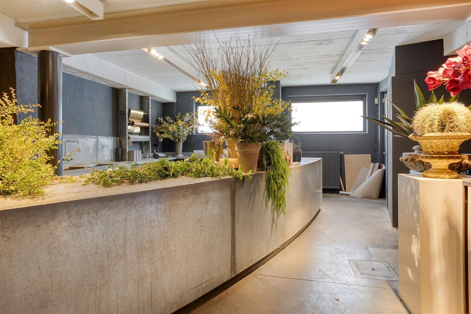 FOTO’S 7 : Grote winkel te 1600 SINT-PIETERS-LEEUW (België) - Prijs &euro;&nbsp;400.000