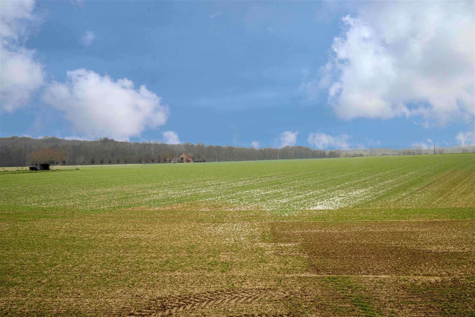 FOTO’S 16 : Appartement te 1500 HALLE (België) - Prijs &euro;&nbsp;900