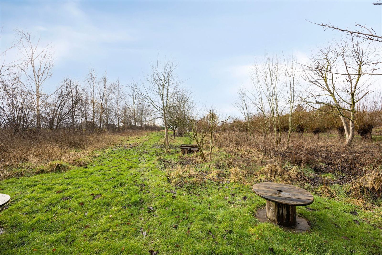 PHOTOS 21 : Entrepôt avec bureaux à 1674 BELLINGEN (Belgique) - Prix 299.000 &euro;