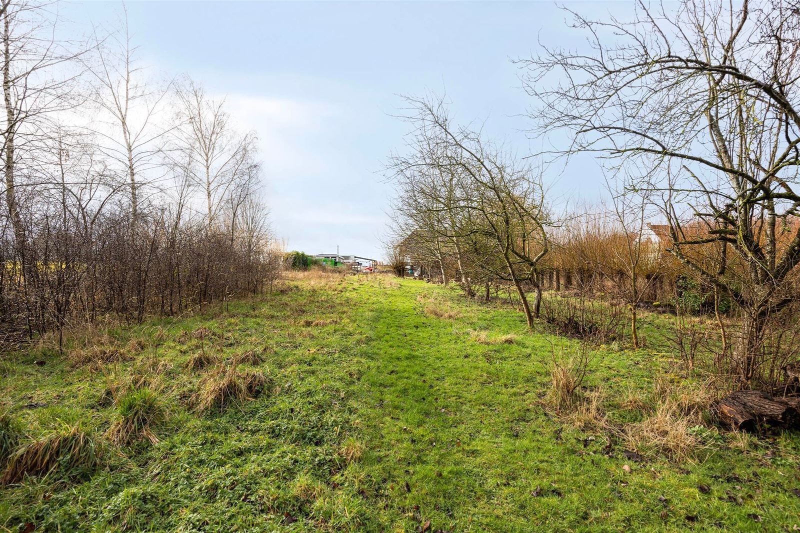 PHOTOS 20 : Entrepôt avec bureaux à 1674 BELLINGEN (Belgique) - Prix 299.000 &euro;