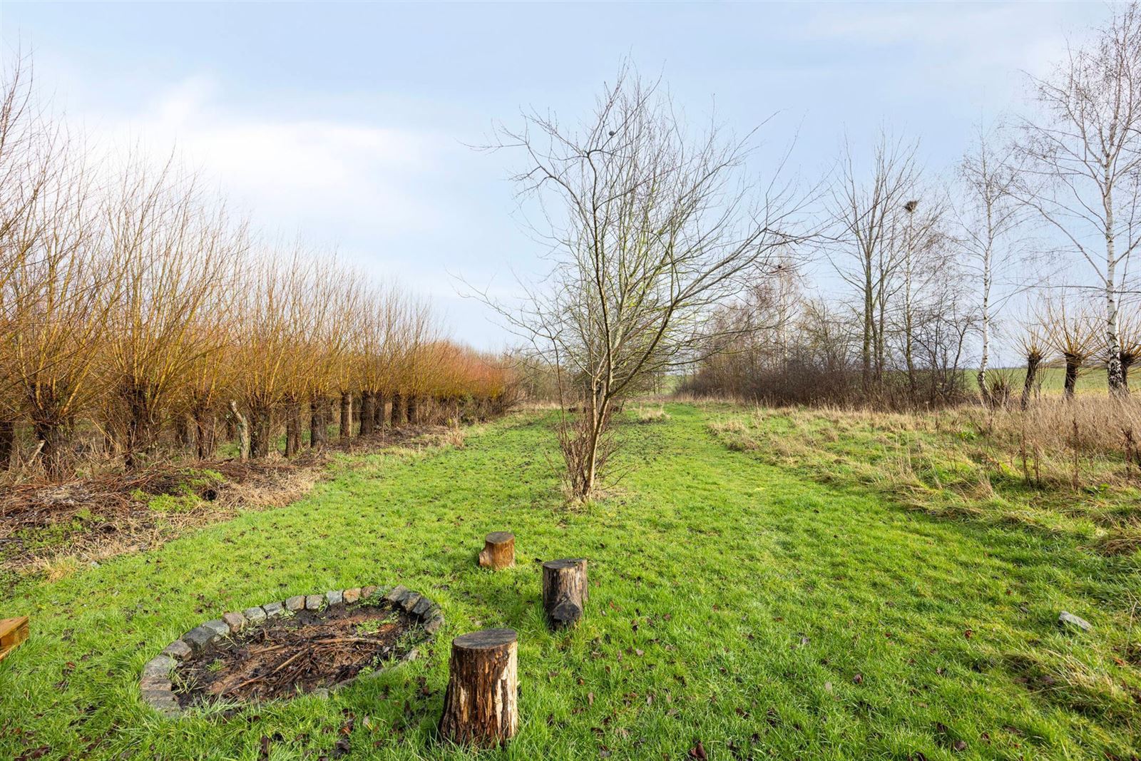 PHOTOS 19 : Entrepôt avec bureaux à 1674 BELLINGEN (Belgique) - Prix 299.000 &euro;