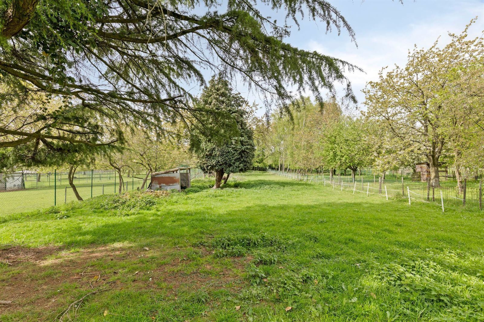 FOTO’S 3 : Woning te 1500 HALLE (België) - Prijs Vanaf &euro;&nbsp;490.000