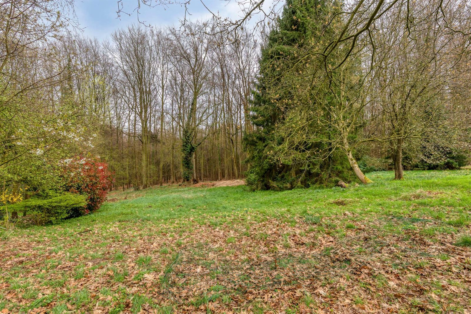 PHOTOS 22 : Maison à 1500 HALLE (Belgique) - Prix 419.000 &euro;