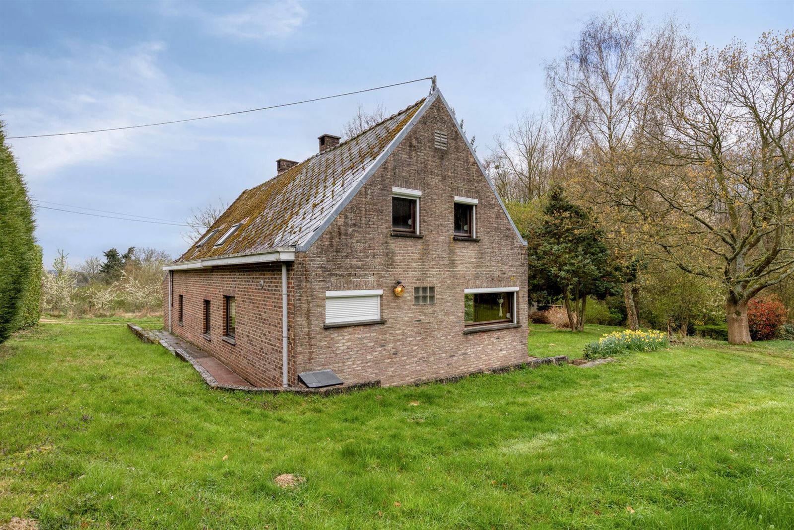 PHOTOS 24 : Maison à 1500 HALLE (Belgique) - Prix 419.000 &euro;