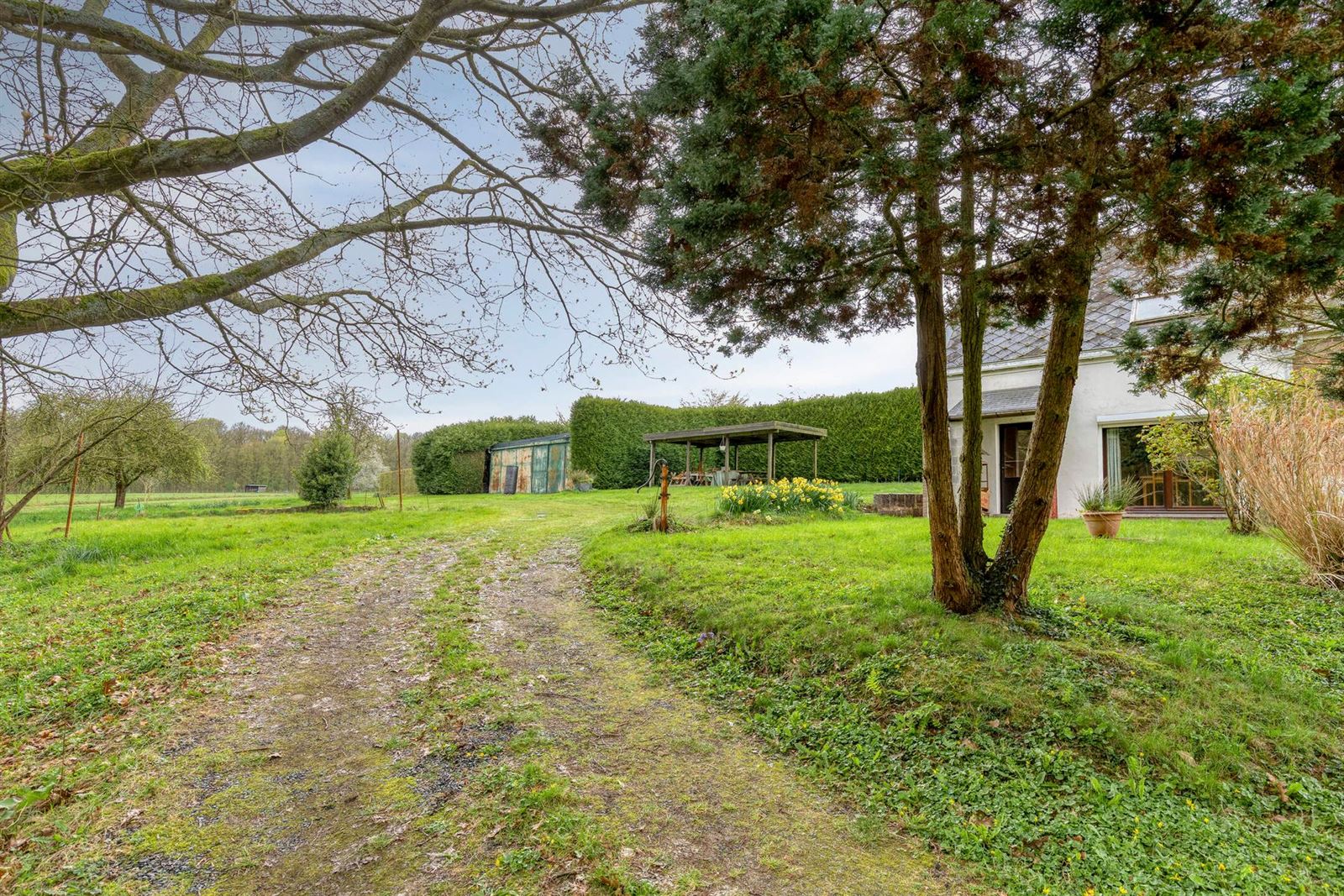 PHOTOS 18 : Maison à 1500 HALLE (Belgique) - Prix 419.000 &euro;