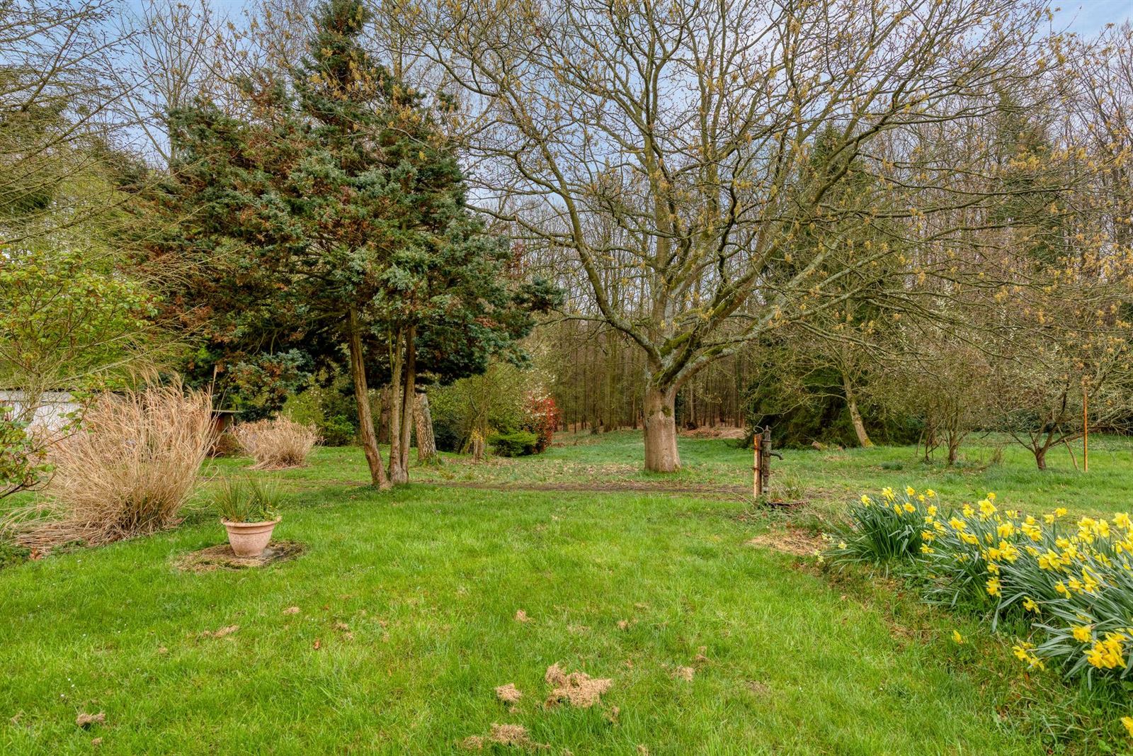 PHOTOS 16 : Maison à 1500 HALLE (Belgique) - Prix 419.000 &euro;