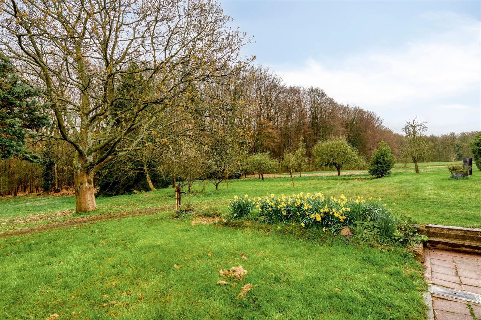 PHOTOS 17 : Maison à 1500 HALLE (Belgique) - Prix 419.000 &euro;