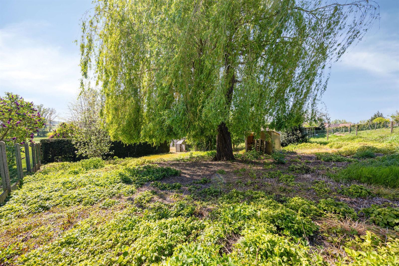 FOTO’S 28 : Villa te 9402 MEERBEKE (België) - Prijs &euro;&nbsp;539.000