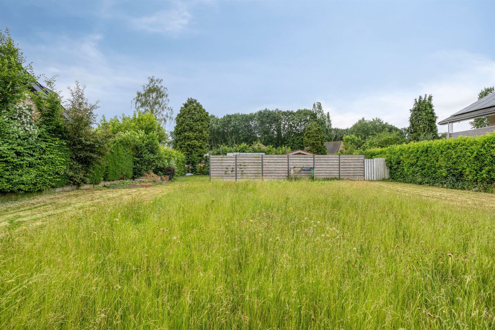 FOTO’S 6 : Bouwgrond te 1650 BEERSEL (België) - Prijs &euro;&nbsp;280.000
