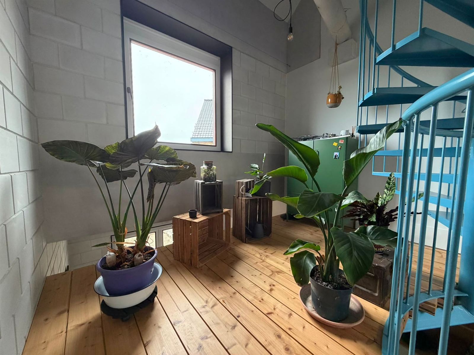 FOTO’S 5 : Woning te 1755 PAJOTTEGEM (België) - Prijs &euro;&nbsp;850
