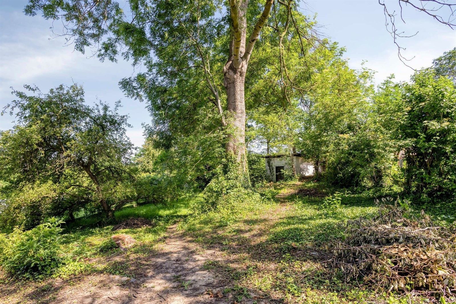 FOTO’S 32 : Woning te 1650 BEERSEL (België) - Prijs &euro;&nbsp;490.000