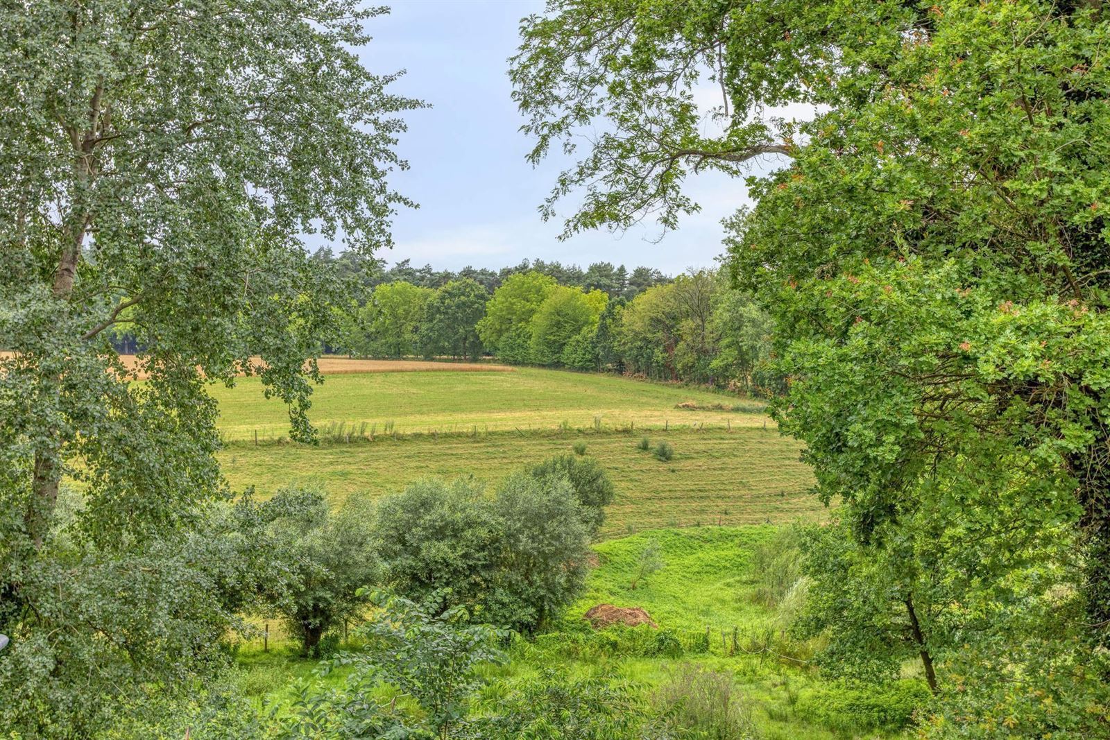 FOTO’S 33 : Villa te 1640 SINT-GENESIUS-RODE (België) - Prijs &euro;&nbsp;870.000