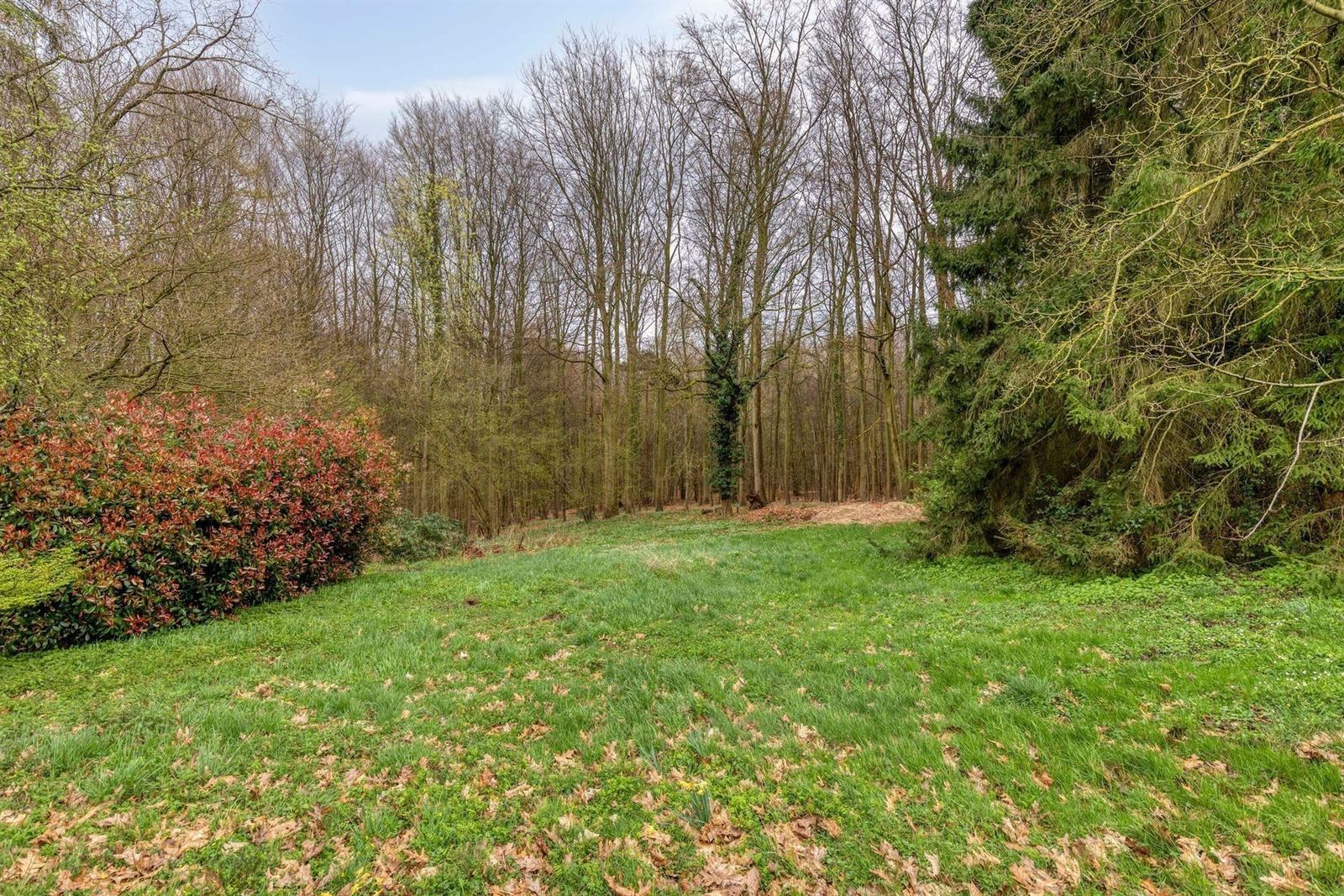 FOTO’S 40 : Woning te 1500 HALLE (België) - Prijs &euro;&nbsp;795.000