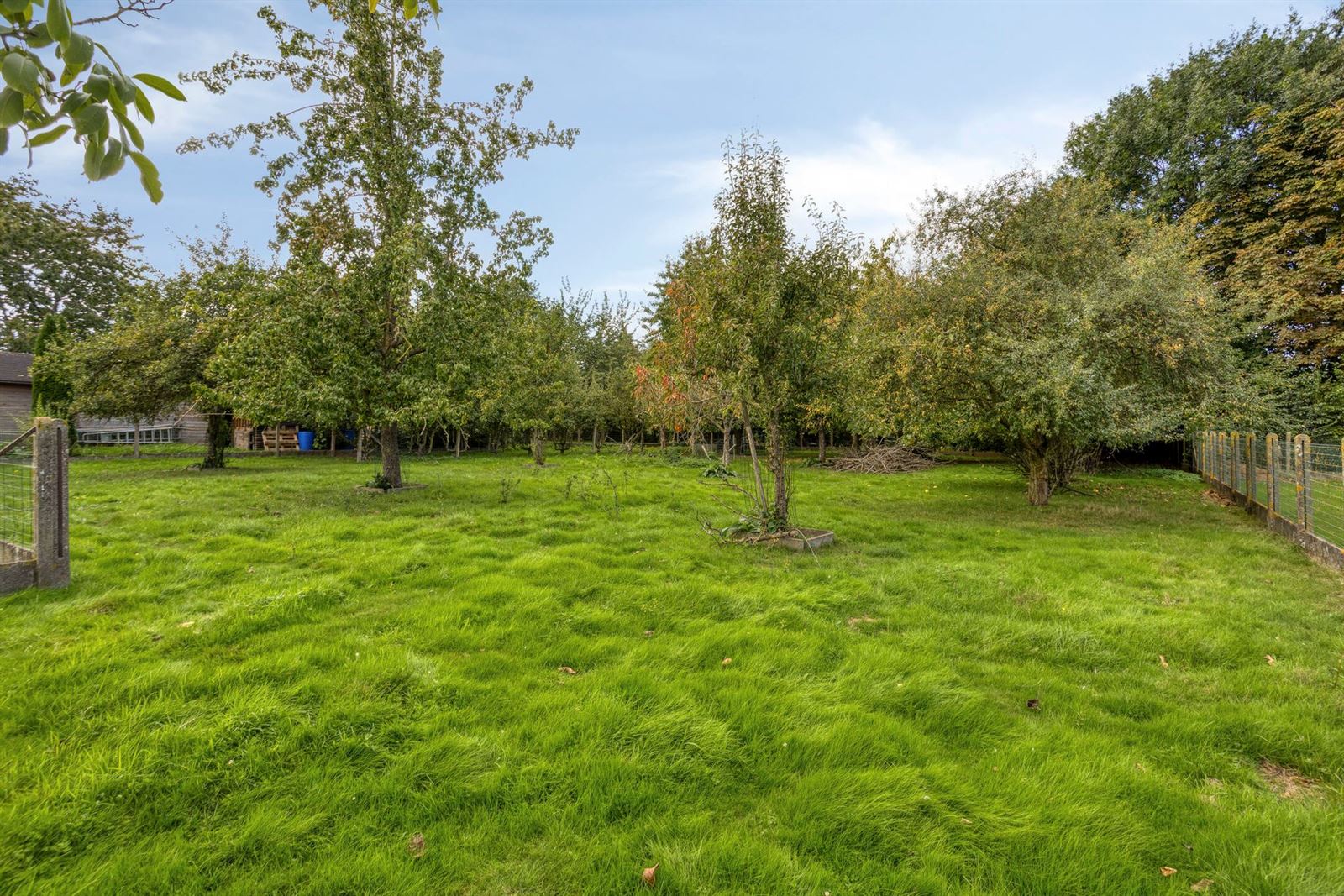 FOTO’S 26 : Woning te 1670 BOGAARDEN (België) - Prijs &euro;&nbsp;349.000