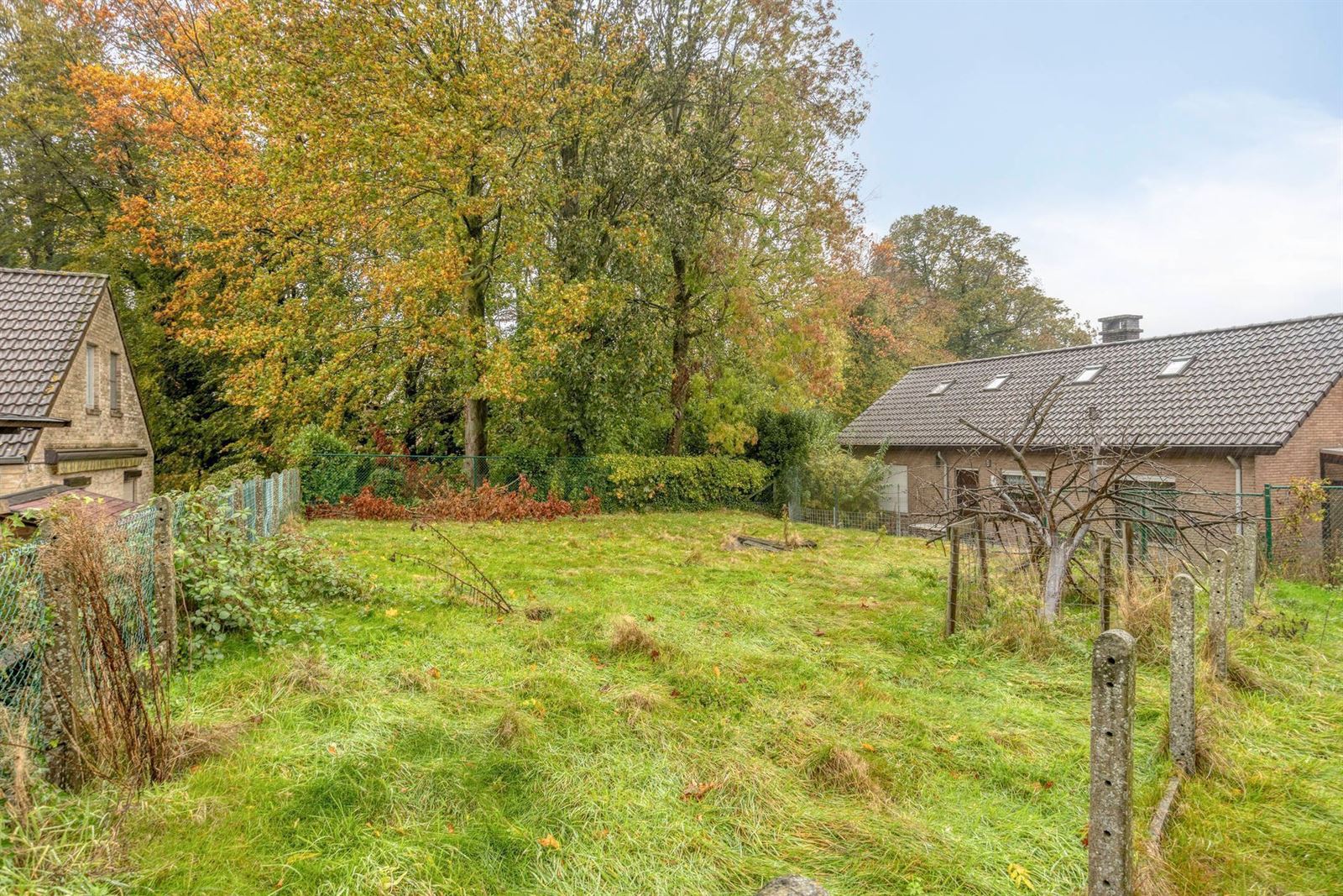 FOTO’S 3 : Bouwgrond te 1650 BEERSEL (België) - Prijs &euro;&nbsp;145.000