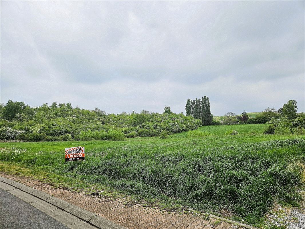 Image 3 : Terrain à bâtir à 7370 DOUR (Belgique) - Prix 35.000 €