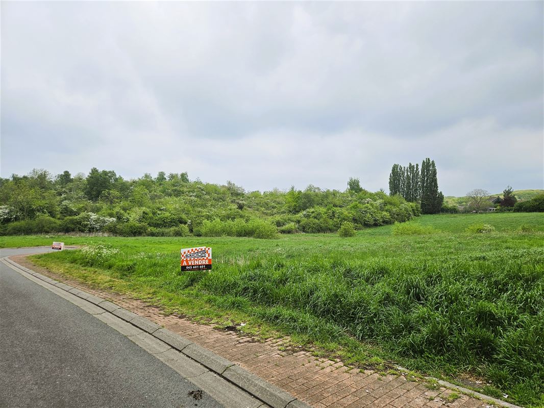 Image 4 : Terrain à bâtir à 7370 DOUR (Belgique) - Prix 35.000 €