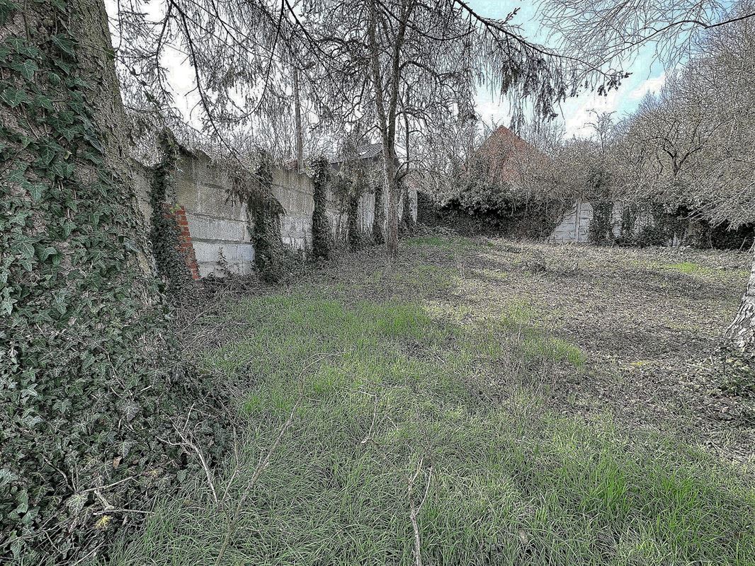 Image 5 : Terrain à 7340 WASMES (Belgique) - Prix 15.000 €