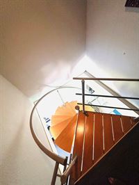 Image 29 : Maison à 7080 SARS-LA-BRUYÈRE (Belgique) - Prix 650.000 &euro;