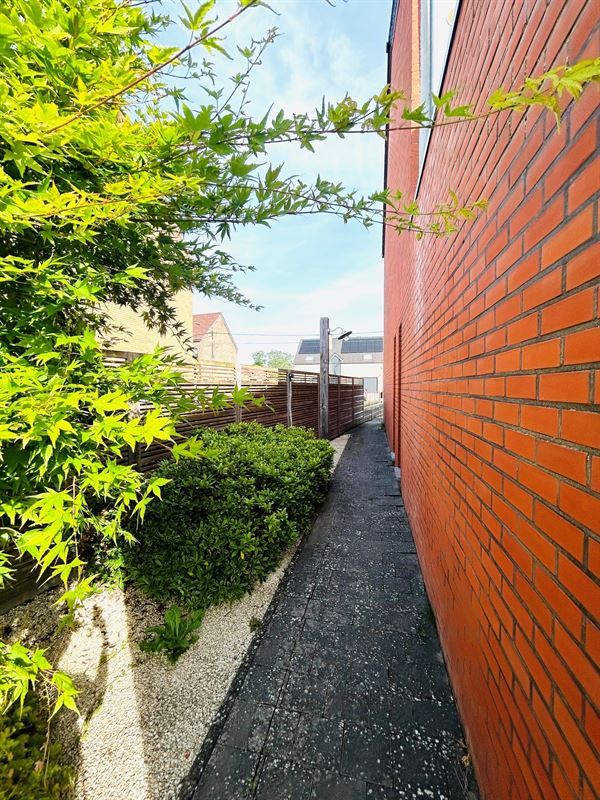 Image 24 : Maison à 7022 HARMIGNIES (Belgique) - Prix 1.600 &euro;