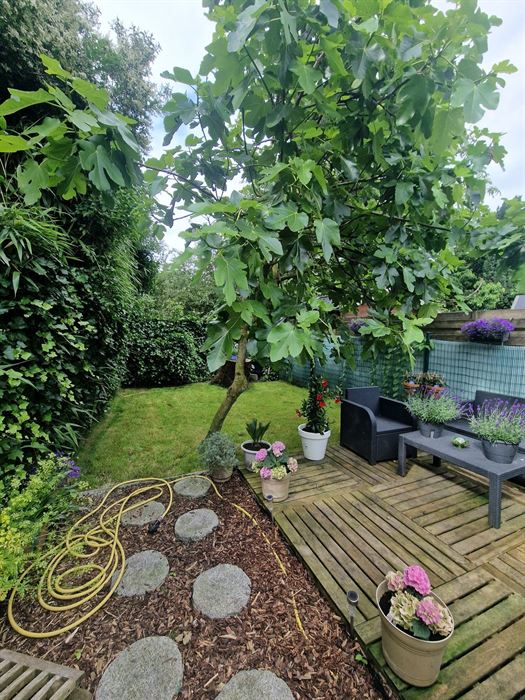 Huis