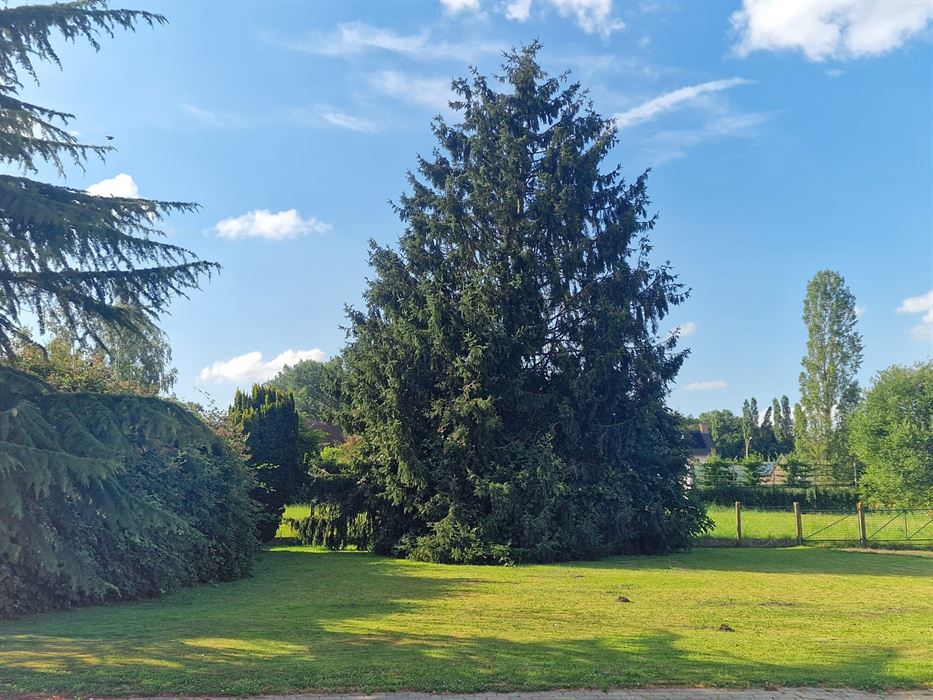 ZUIDGERICHTE RESIDENTIEEL GELEGEN VILLAGROND