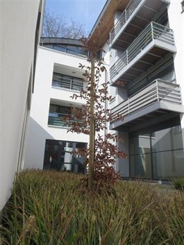 Appartement te 9111 BELSELE (België) - Prijs 