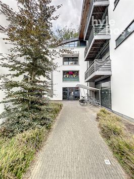 Duplex/Penthouse te 9111 BELSELE (België) - Prijs 750 €/maand