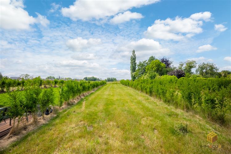 Image 15 : Maison à 4342 HOGNOUL (Belgique) - Prix 260.000 €