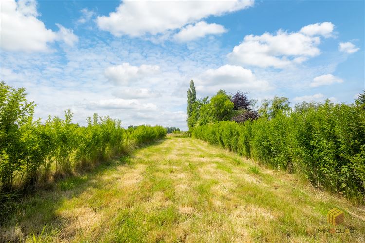 Image 15 : Maison à 4342 HOGNOUL (Belgique) - Prix 260.000 €