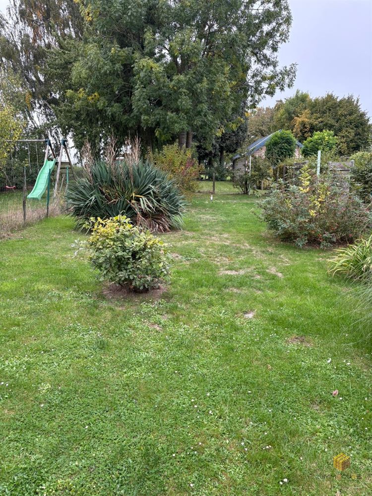 Image 21 : Maison à 4360 OREYE (Belgique) - Prix 1.150 €