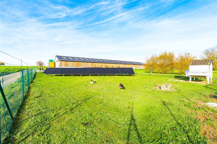 Image 19 : Villa à 4530 VIEUX-WALEFFE (Belgique) - Prix 445.000 €