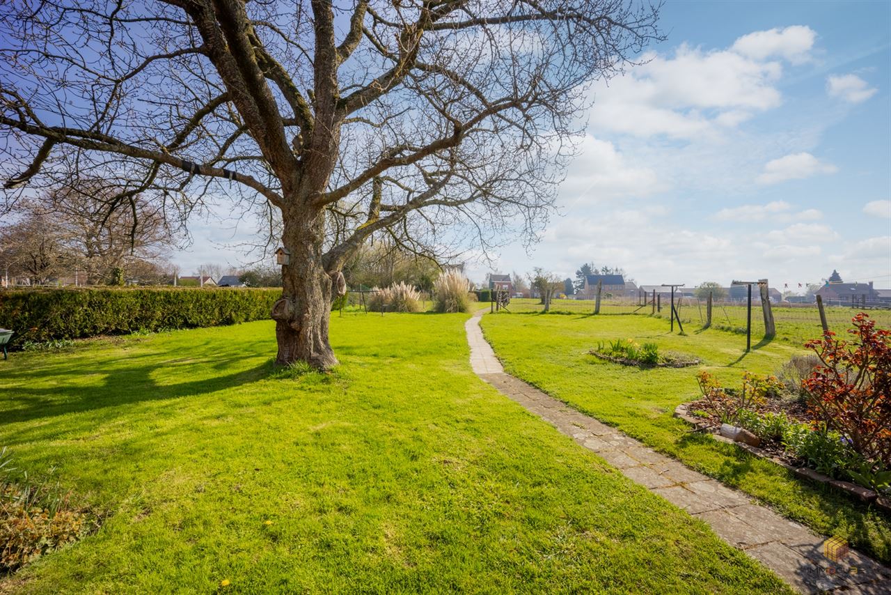 Image 24 : Maison à 4260 AVENNES (Belgique) - Prix 329.000 &euro;